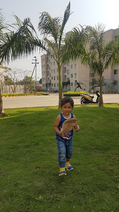 Google Maps image 22