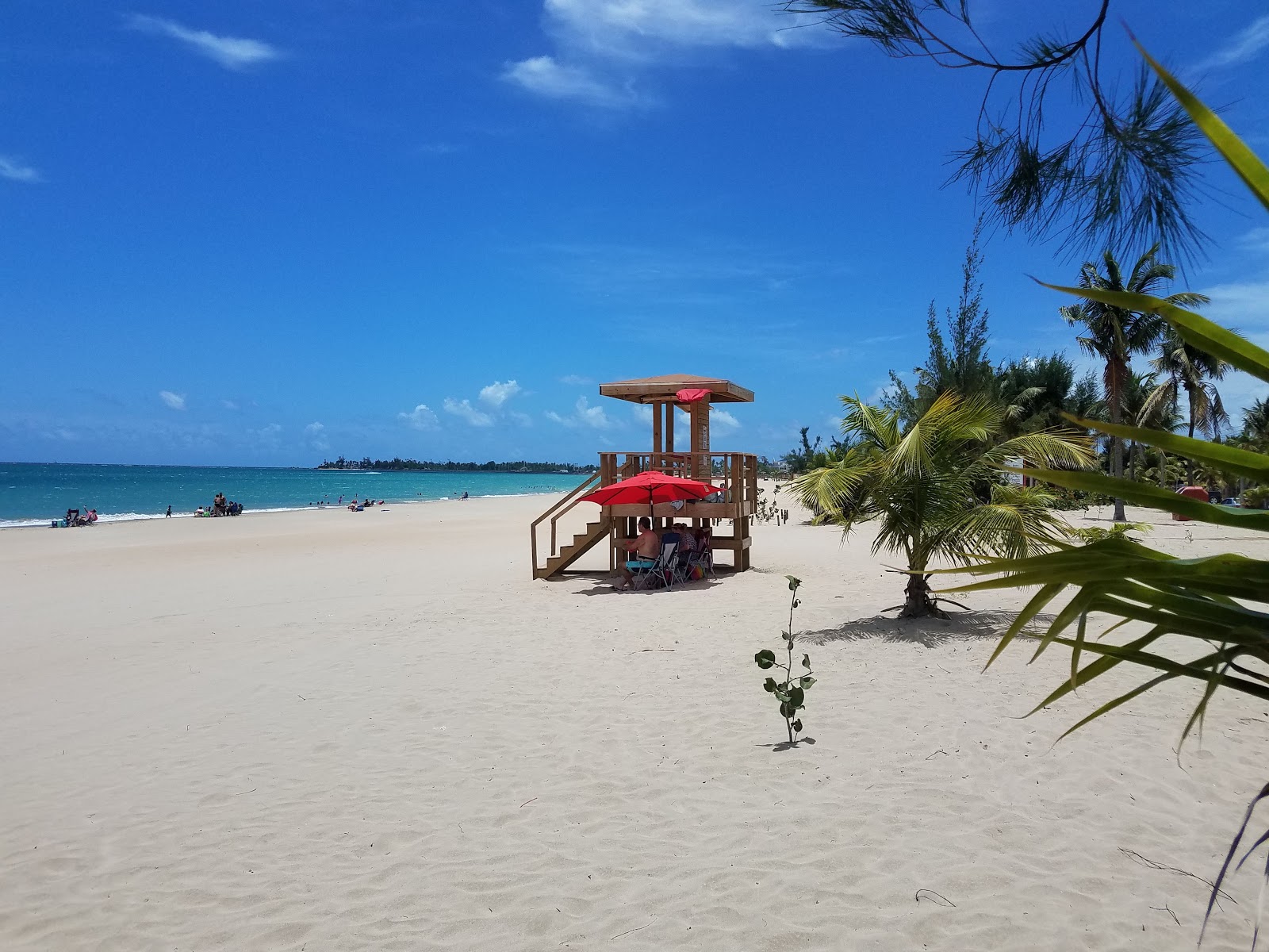 Φωτογραφία του Carolina beach παροχές περιοχής