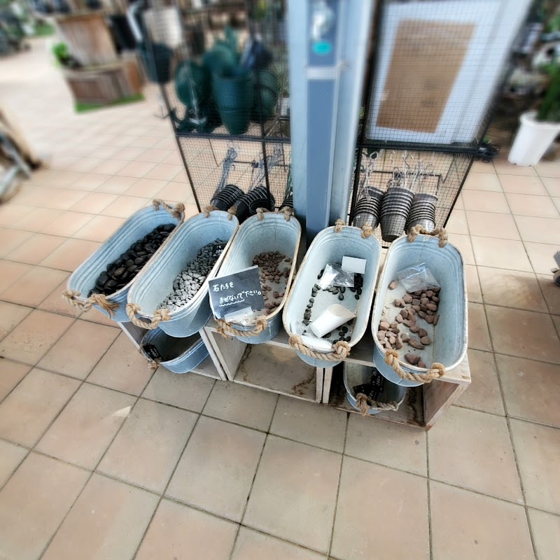 平田ナーセリー 春日店 Balcone 福岡県春日市春日 園芸センター グルコミ