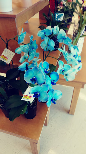 Grocery Store «Fred Meyer», reviews and photos, 5500 Olympic Dr NW, Gig Harbor, WA 98335, USA