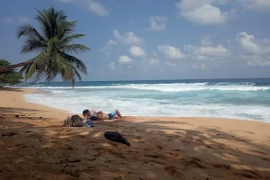 São Tomé Paradise Tours image