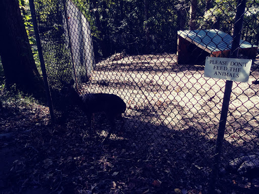 Government Office «Bear Hollow Wildlife Trail», reviews and photos, 293 Gran Ellen Dr, Athens, GA 30606, USA