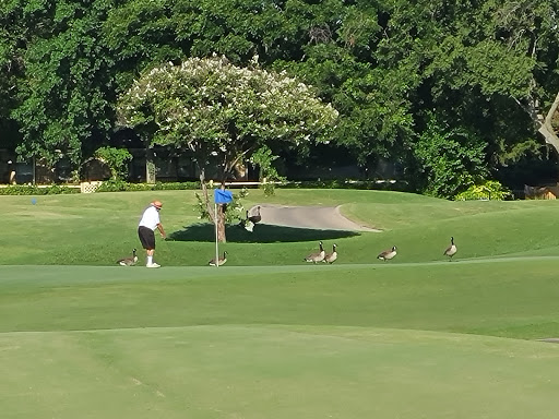 Golf Course «Sherrill Park Golf Course», reviews and photos, 2001 E Lookout Dr, Richardson, TX 75082, USA