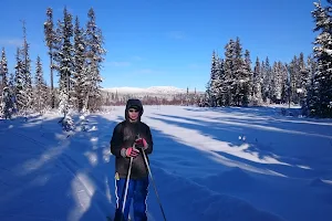 Kelowna Nordic Ski and Snowshoe Club image