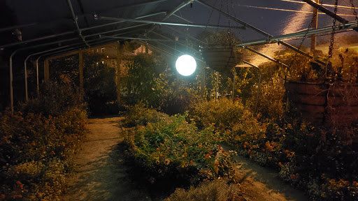 Farm «Idlewild Butterfly Farm», reviews and photos, 1100 Logan St, Louisville, KY 40204, USA