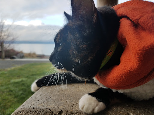 Park «Seahurst Park», reviews and photos, 1600 SW Seahurst Park Rd, Burien, WA 98166, USA