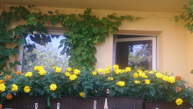 Centrum ogrodnicze Ogrodnik - Sędziszów