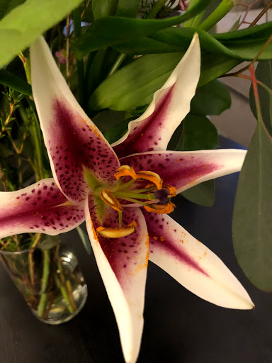 Florist «The Brown Palace Flower Shop», reviews and photos, 401 17th St, Denver, CO 80202, USA