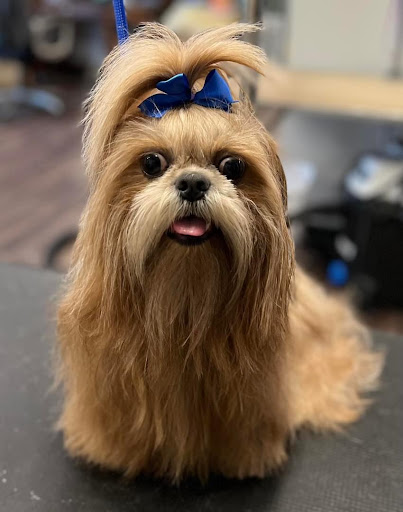 Cumberland Poodle Parlor