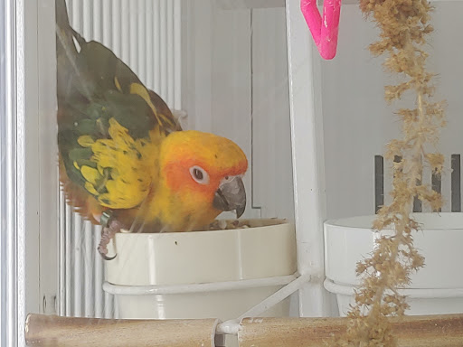 Pet Supply Store «Petco Animal Supplies», reviews and photos, 10383 Reisterstown Rd, Owings Mills, MD 21117, USA