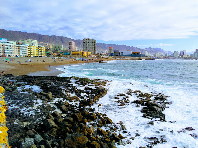 VESERT LTDA ANTOFAGASTA - Antofagasta