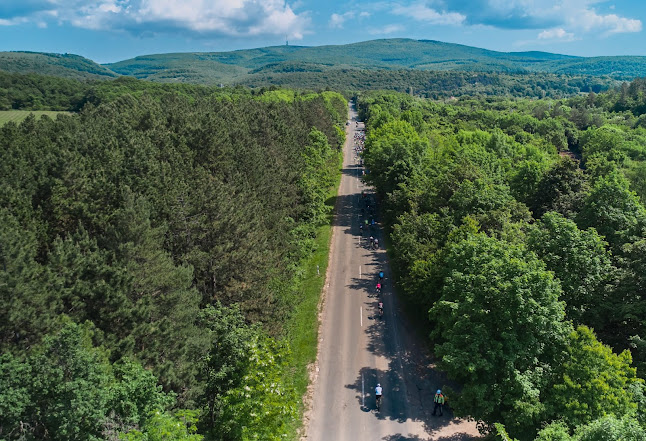 Gyöngyös, Bene u. 69, 3200