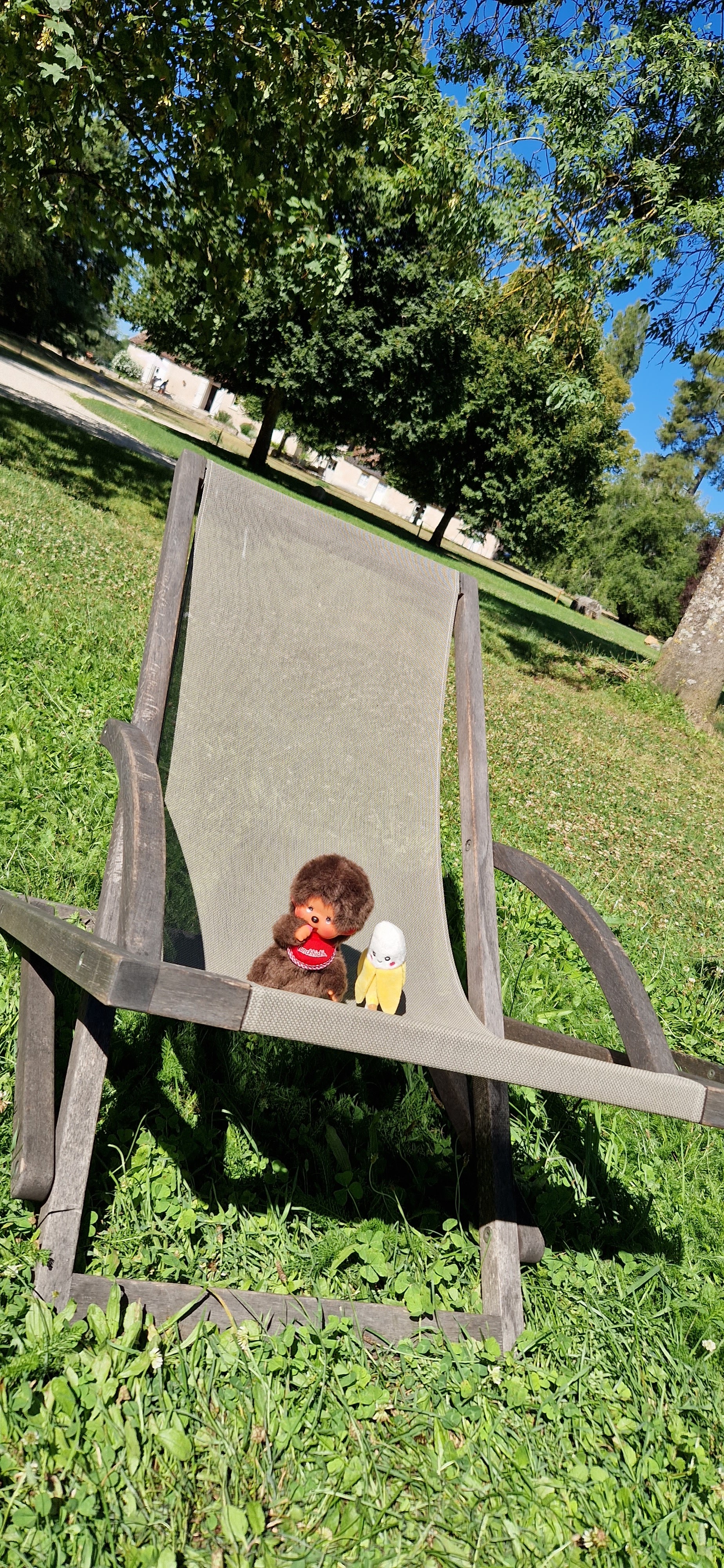 Photo n° 5 de l'avis de Girolami.o fait le 07/08/2022 à 11:51