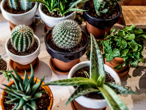 Florist «MyFlorist», reviews and photos, 1984 Chain Bridge Rd, McLean, VA 22102, USA