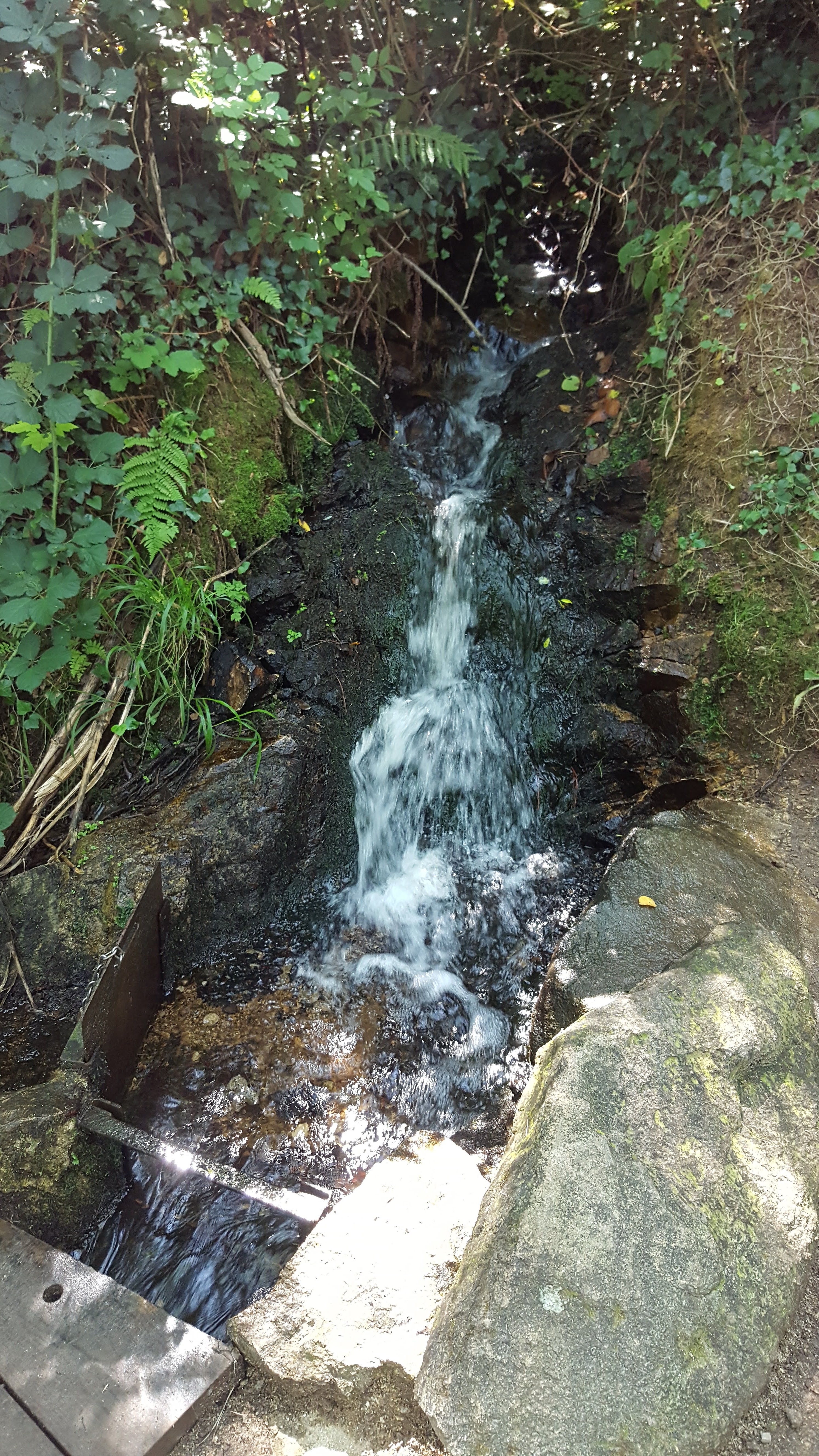 Photo n° 5 de l'avis de Gilles.. fait le 19/08/2019 à 12:19