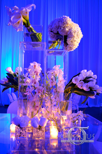 Florist «ORNATUS EVENTS DECOR CORPORATION», reviews and photos, 10404 W State Rd 84 #107, Davie, FL 33324, USA