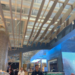 Photo n°2 de l'avis de baambii. fait le 01/12/2023 à 14:47 sur le  Alemagna caffè à Fiumicino