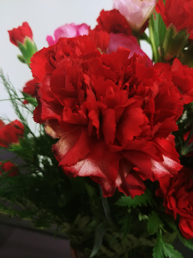 Florist «The Flower Nook», reviews and photos, 3020 Lamberton Blvd, Orlando, FL 32825, USA