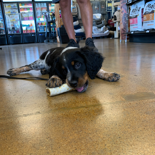 Pet Store «Choice Pet Market», reviews and photos, 15681 N Hayden Rd #114, Scottsdale, AZ 85260, USA