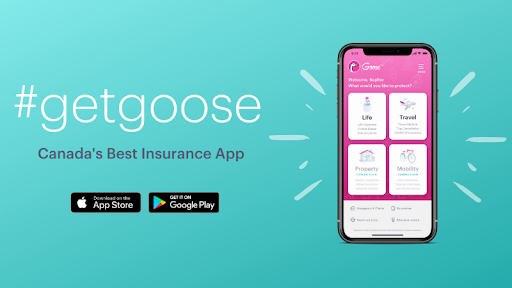 Goose Insurance Services Inc.
