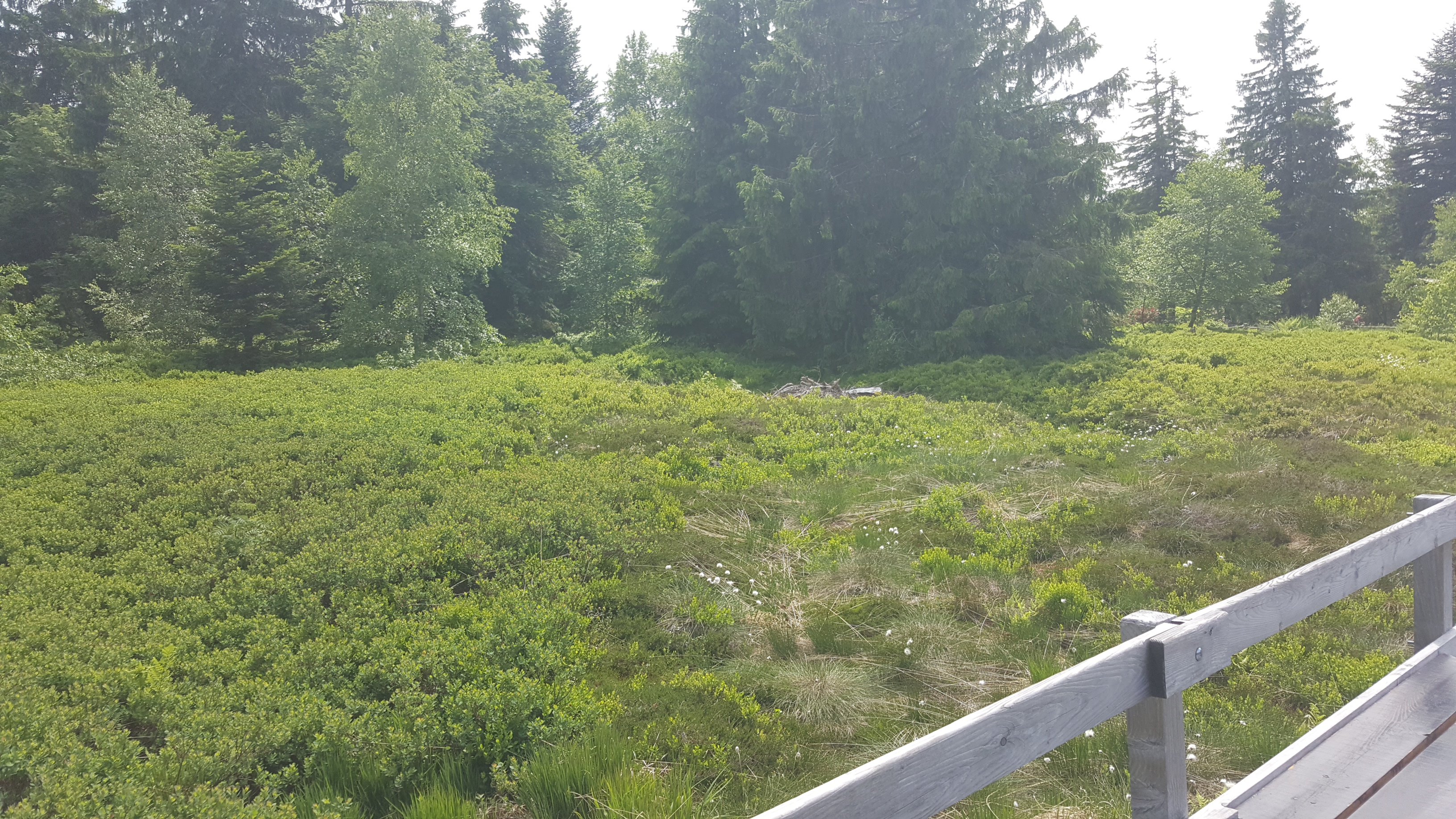 Photo n° 29 de l'avis de Jean-Sébastien.O fait le 23/06/2019 à 16:49