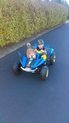 Park «Tuscany Trail Park», reviews and photos, 445 Grape Vine Trail, Oswego, IL 60543, USA