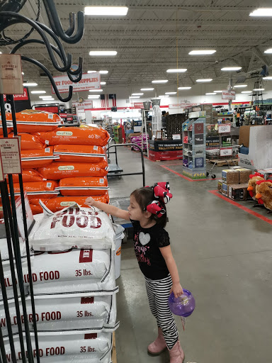 Home Improvement Store «Tractor Supply Co.», reviews and photos, 901 FM 509, San Benito, TX 78586, USA