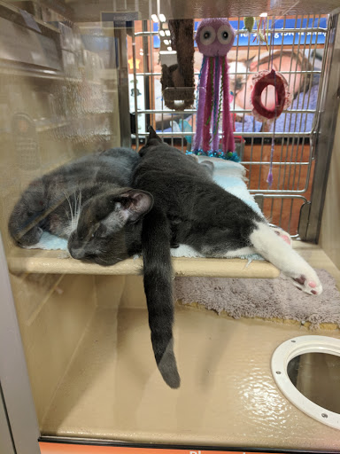 Pet Supply Store «PetSmart», reviews and photos, 19320 Nordhoff Way, Northridge, CA 91324, USA