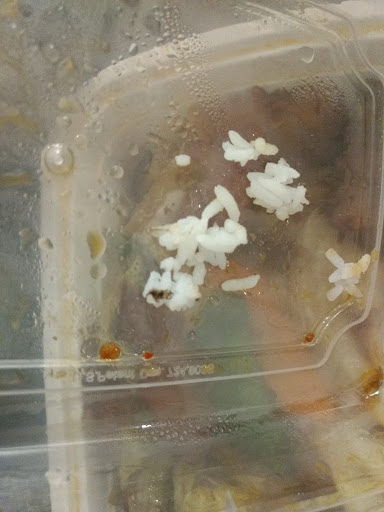 Chinese Restaurant «Rainbow Garden», reviews and photos, 1402 S Neil St, Champaign, IL 61820, USA