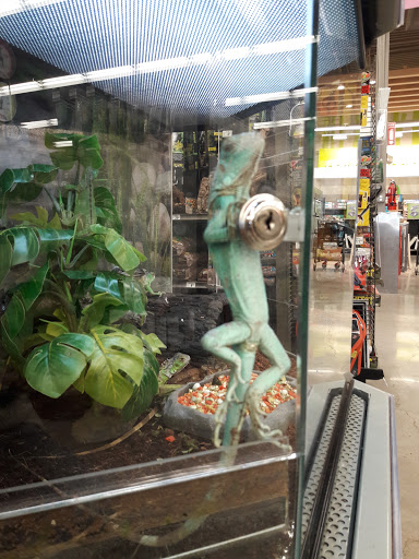 Pet Supply Store «Petco Animal Supplies», reviews and photos, 5994 Montana Ave, El Paso, TX 79925, USA