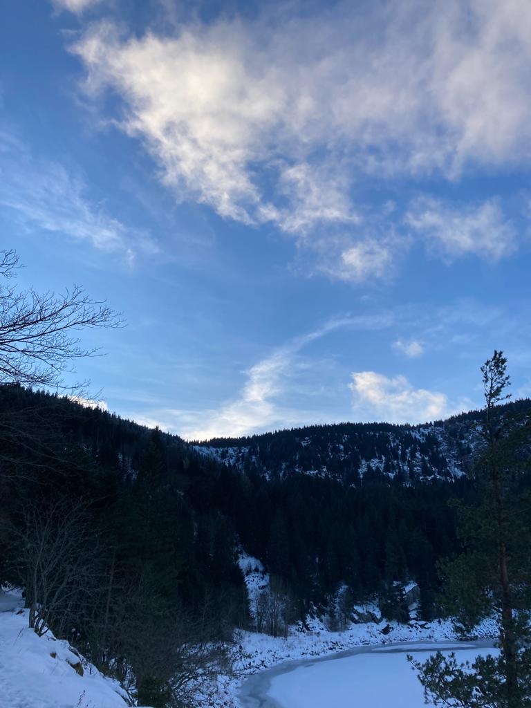 Photo n° 9 de l'avis de Sebastien.s fait le 13/03/2022 à 15:51