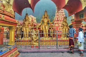 Sita Mata Temple image