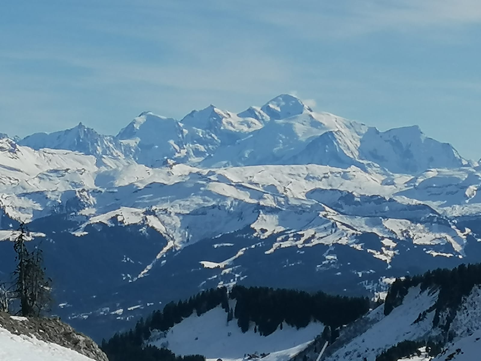 Photo n° 6 de l'avis de Sylvain.o fait le 22/02/2023 à 18:37