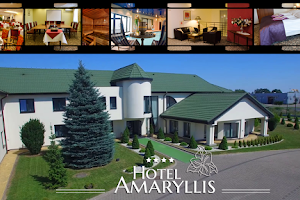 Hotel Amaryllis image