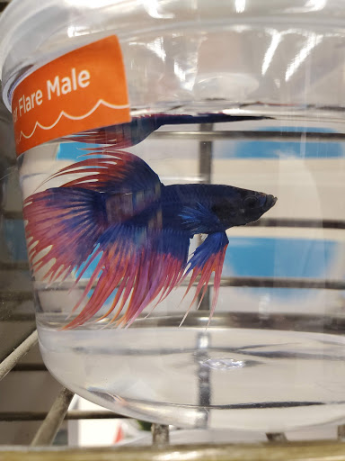 Pet Supply Store «Petco Animal Supplies», reviews and photos, 364 Randall Rd, South Elgin, IL 60177, USA