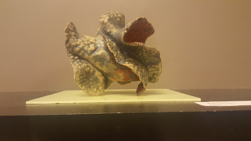 Art Center «LibertyTown Arts Workshop», reviews and photos, 916 Liberty St, Fredericksburg, VA 22401, USA