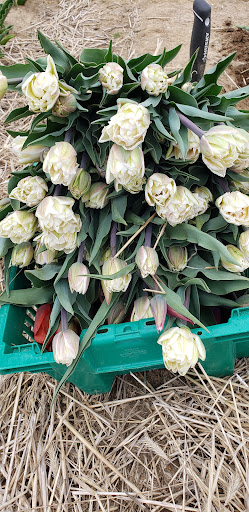 Farm «Four Town Farm», reviews and photos, 90 George St, Seekonk, MA 02771, USA