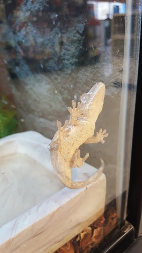 Pet Supply Store «Petco Animal Supplies», reviews and photos, 1203 SE Everett Mall Way f, Everett, WA 98208, USA