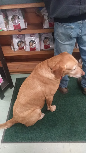 Pet Supply Store «P & D Pet Supply», reviews and photos, 79 N Mountain Blvd, Mountain Top, PA 18707, USA
