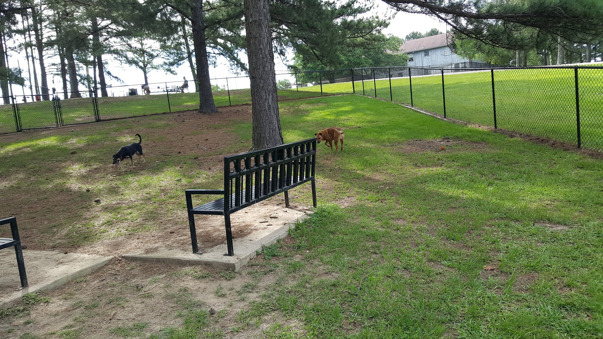 Dog Park at The Rez