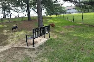 Dog Park at The Rez image