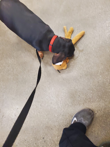 Pet Supply Store «PetSmart», reviews and photos, 5226 S College Rd, Wilmington, NC 28412, USA