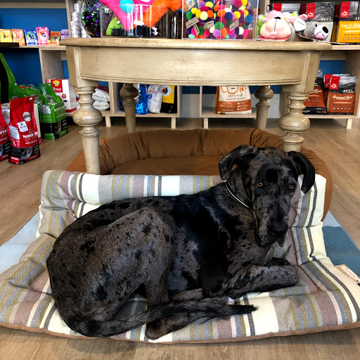 Pet Supply Store «Cole Valley Pets», reviews and photos, 910 Cole St, San Francisco, CA 94117, USA