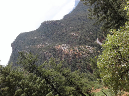 Tourist Attraction «Adventures Out West», reviews and photos, 1335 Manitou Ave, Manitou Springs, CO 80829, USA