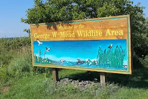 George W. Mead State Wildlife Area image