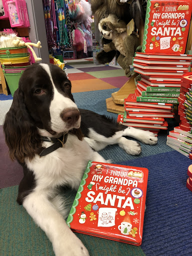 Toy Store «Kidstop», reviews and photos, 6990 E Shea Blvd #103, Scottsdale, AZ 85254, USA