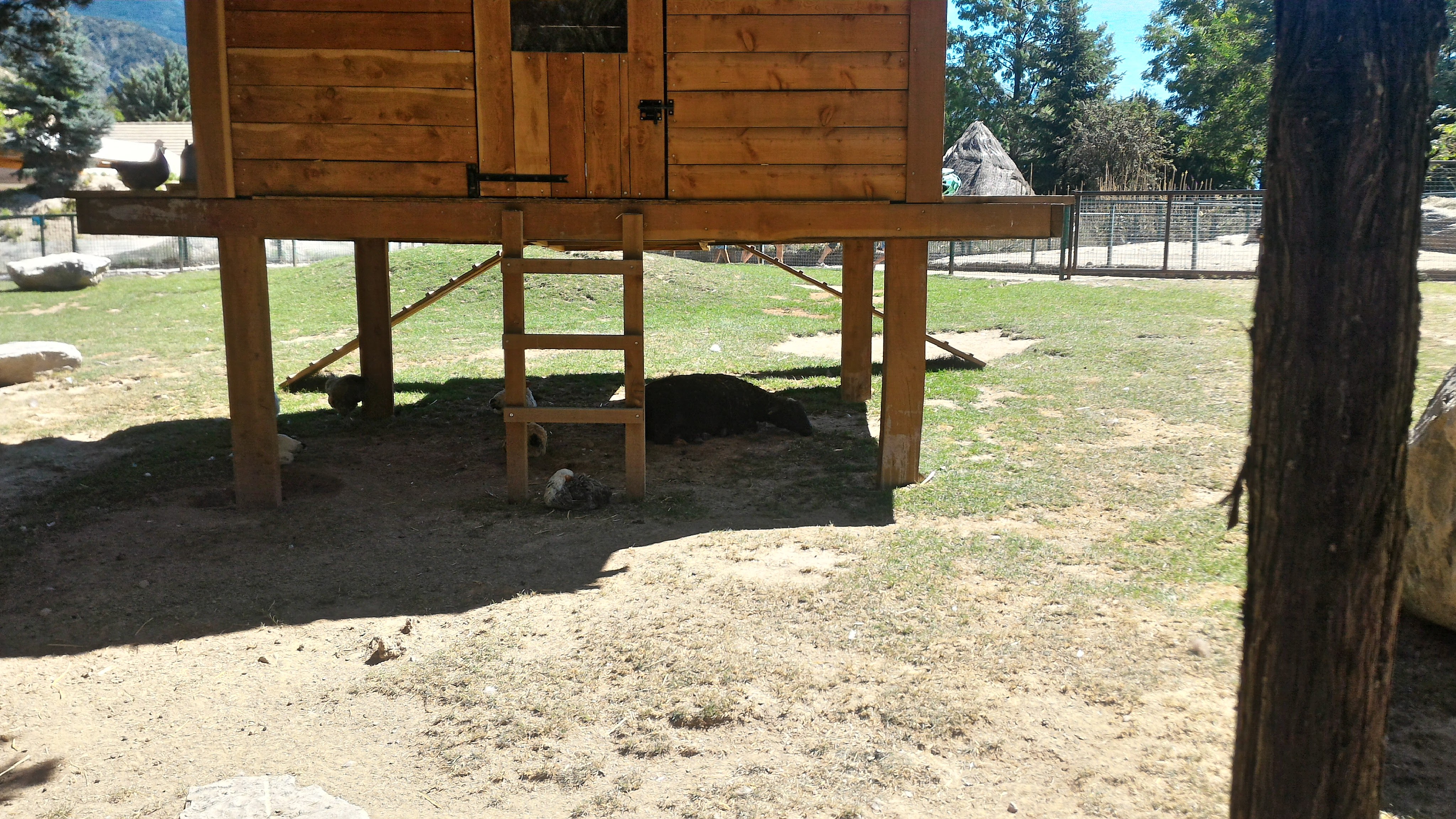 Photo n° 3 de l'avis de Michael.l fait le 29/08/2017 à 13:35