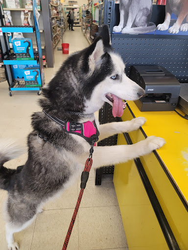 Pet Supply Store «Pet Supplies Plus», reviews and photos, 508 E Stroop Rd, Kettering, OH 45429, USA