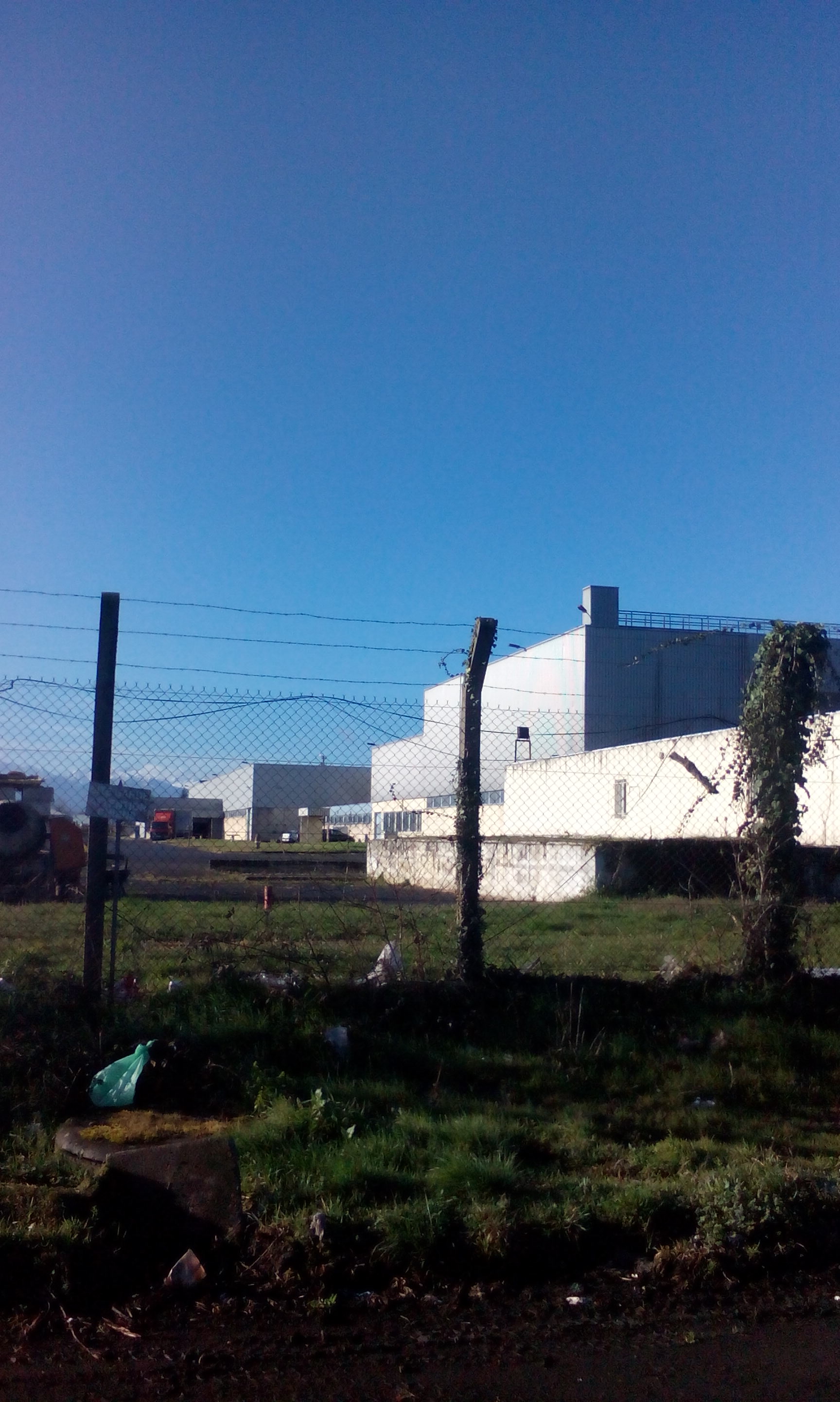 Photo n° 2 de l'avis de Biogame.s fait le 07/03/2019 à 08:15