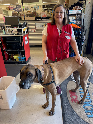 Hardware Store «Antioch Ace Hardware», reviews and photos, 501 Sunset Dr, Antioch, CA 94509, USA